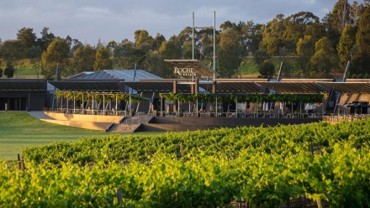 Roche Estate concerts and dining under the vines